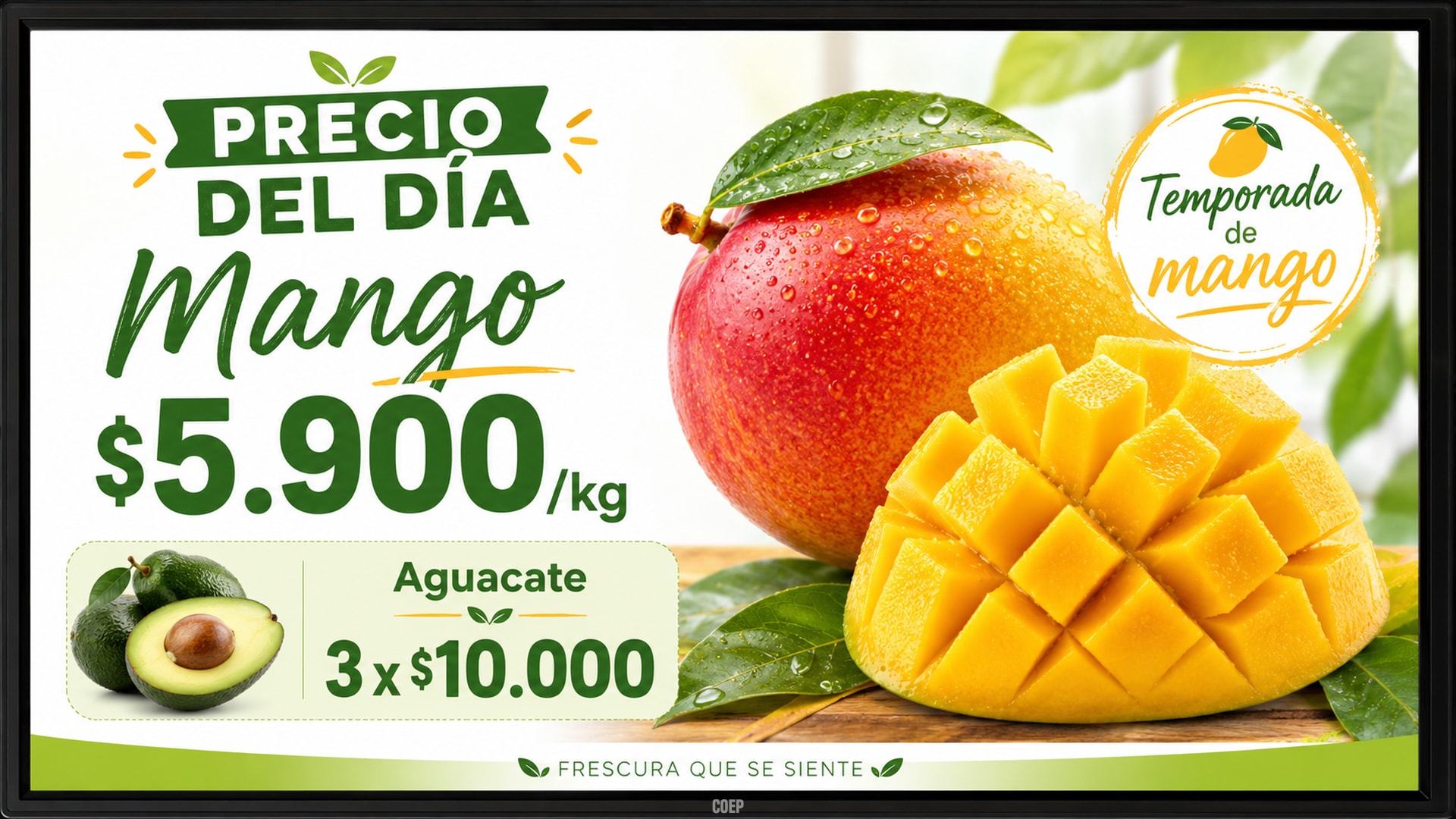 Ejemplo de pantalla 33 — ContentOEP